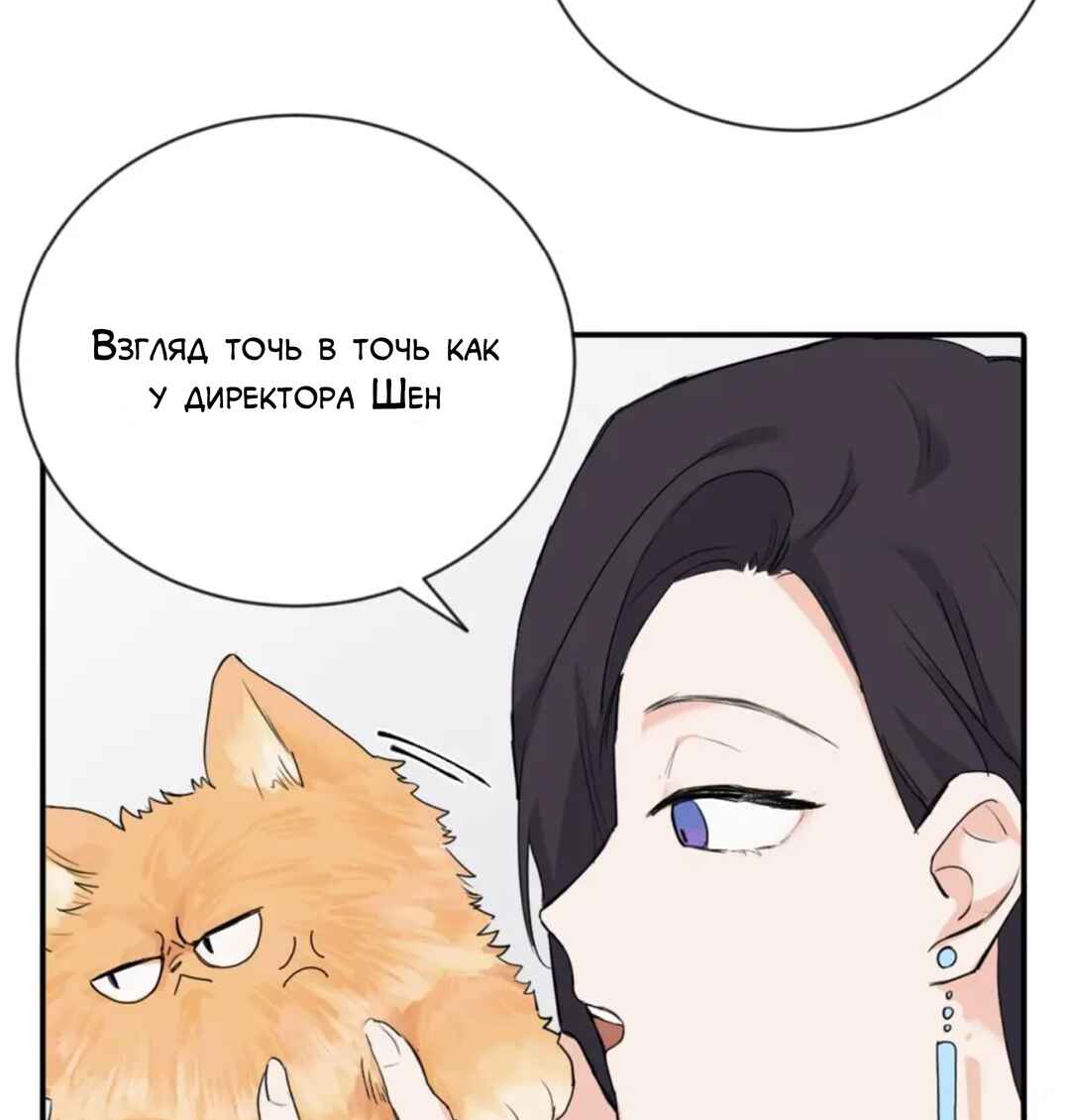 Chapter 4 - Page 6