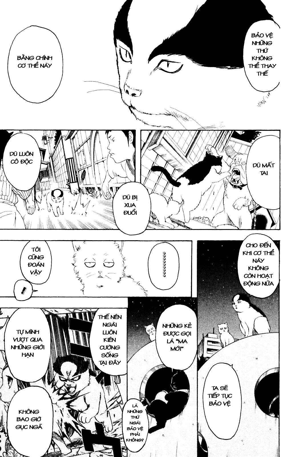 Chapter 277 - Page 14
