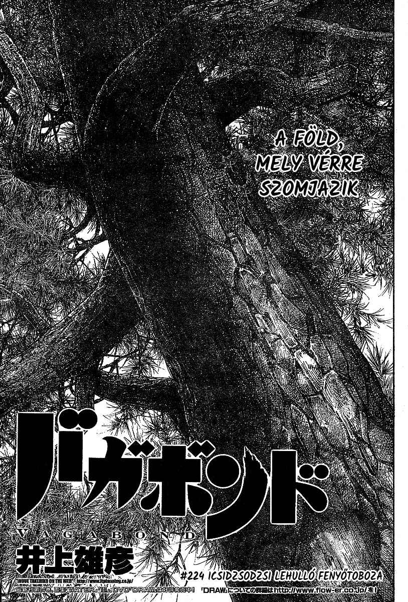 Chapter 224 - Page 2