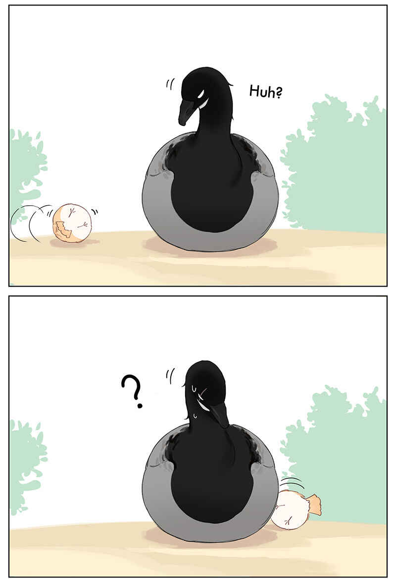 Chapter 48 - Page 4