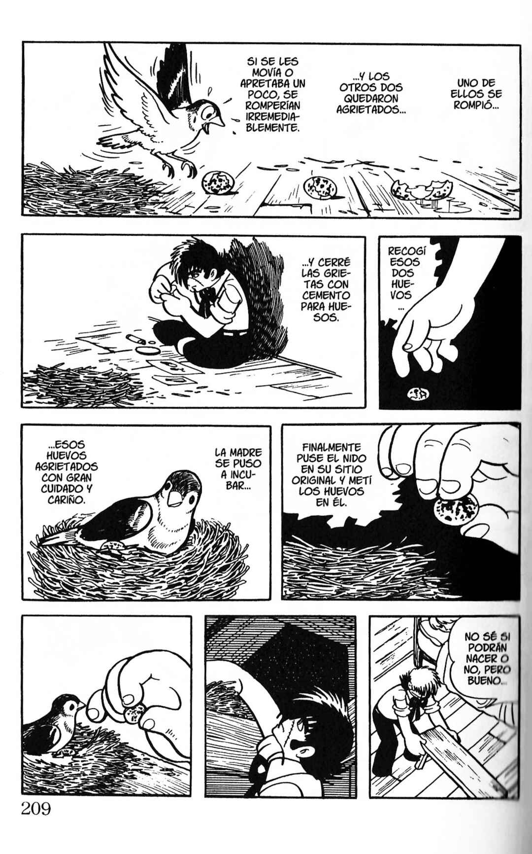 Chapter 204 - Page 15