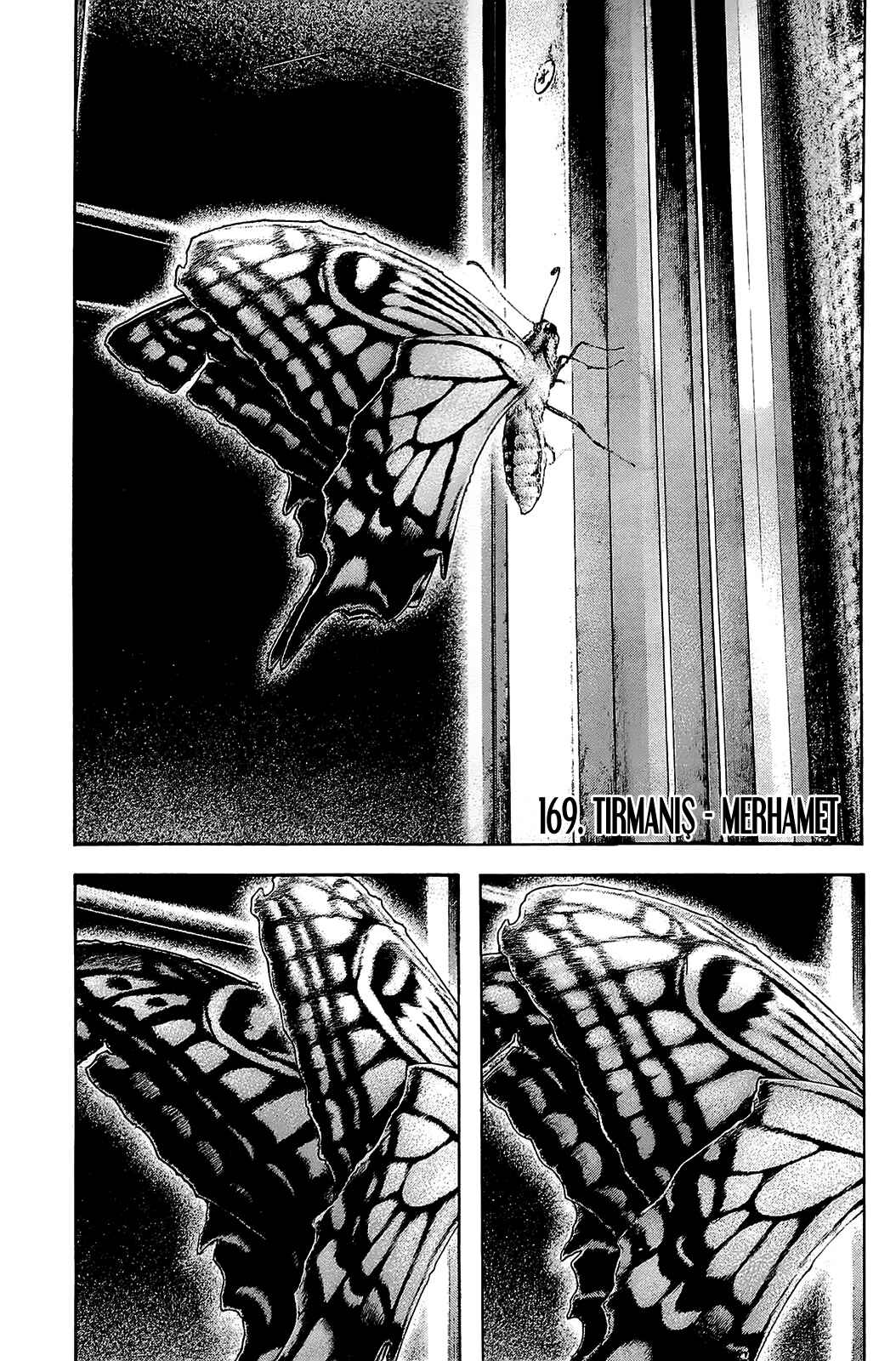 Chapter 169 - Page 2