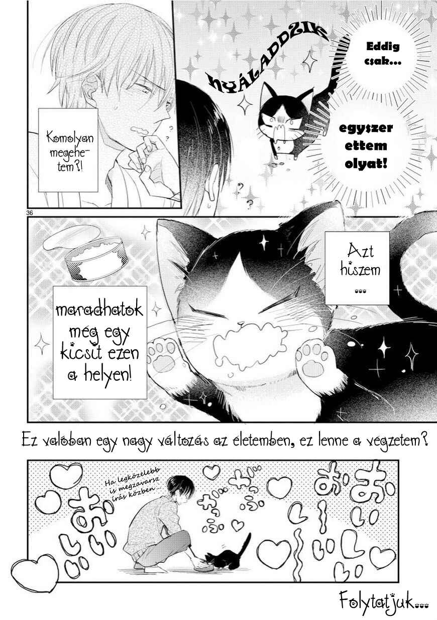 Chapter 1 - Page 36