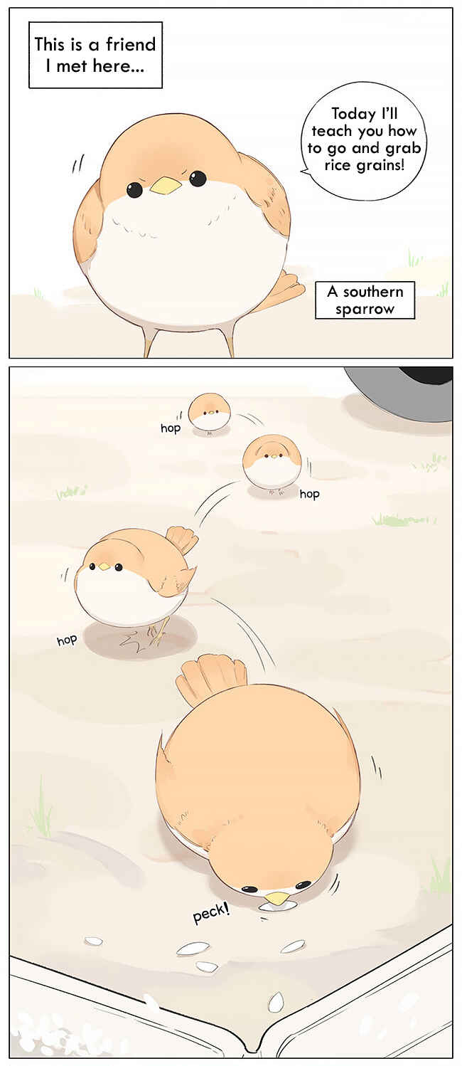 Chapter 4 - Page 2