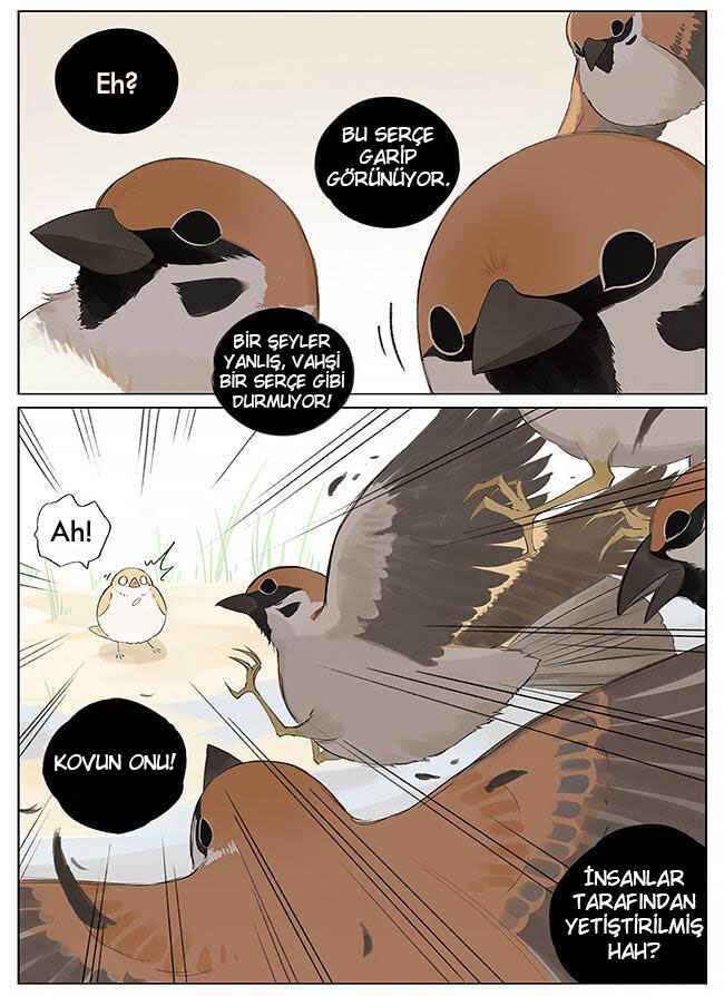Chapter 9 - Page 5