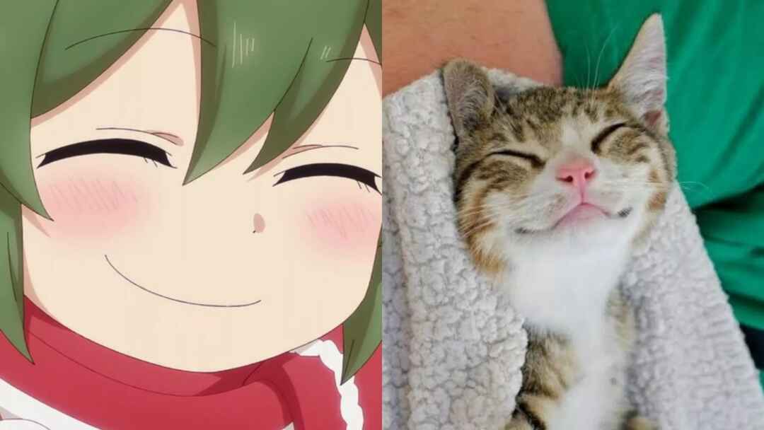 Chapter 164 - Page 35