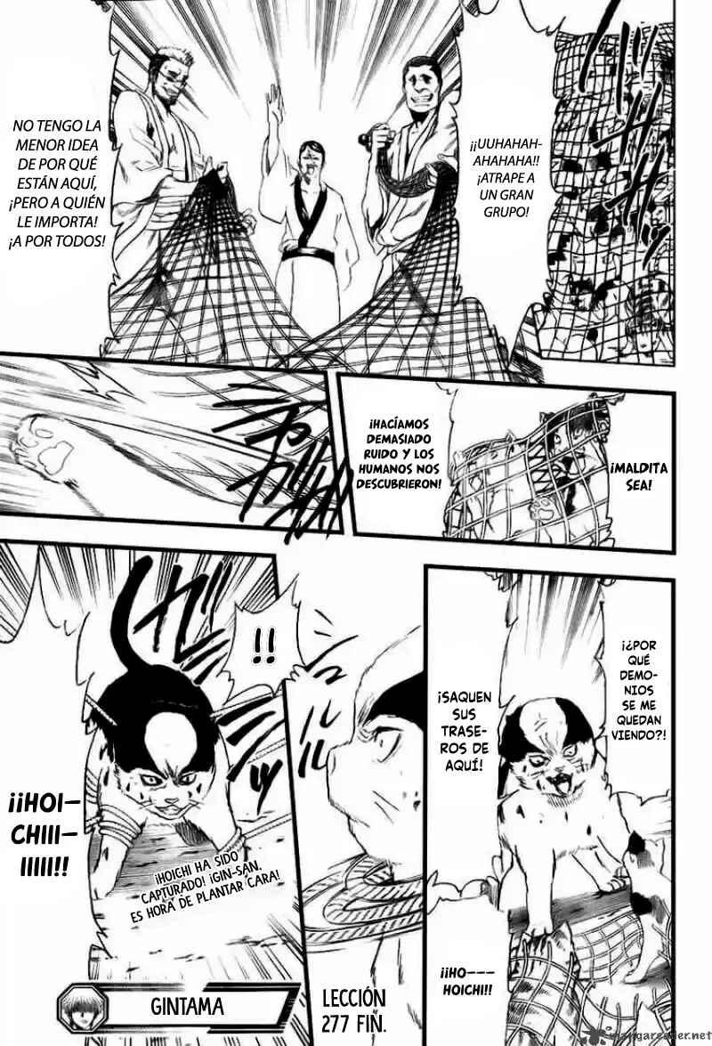 Chapter 277 - Page 19
