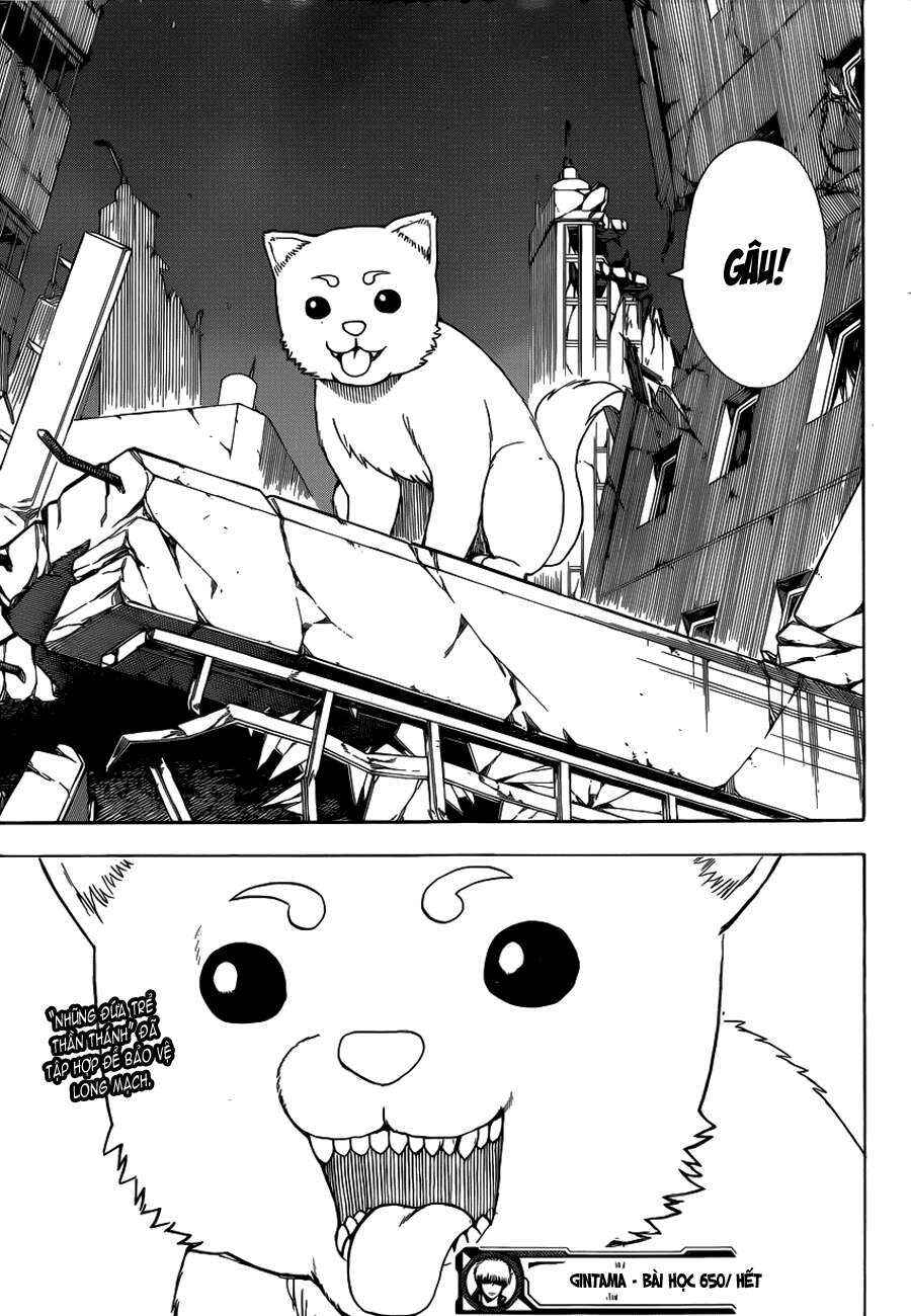 Chapter 650 - Page 19