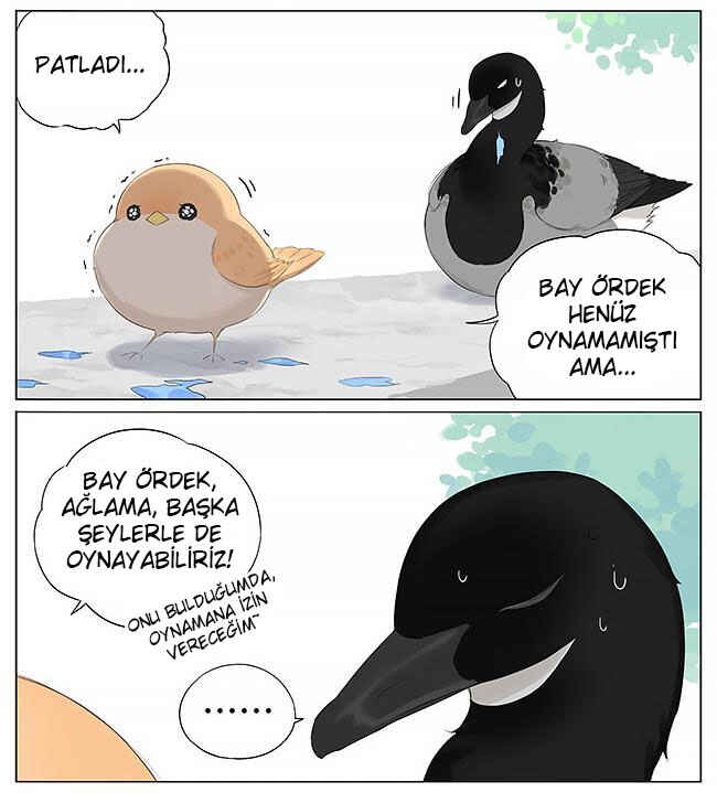 Chapter 11 - Page 5